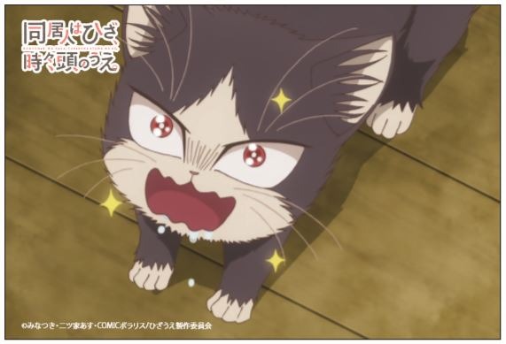 「推し猫！撮って当てよう！」キャンペーン「コラボ記念来店ノベルティ特製ポストカード」（C）みなつき・二ツ家あす・COMICポラリス/ひざうえ製作委員会