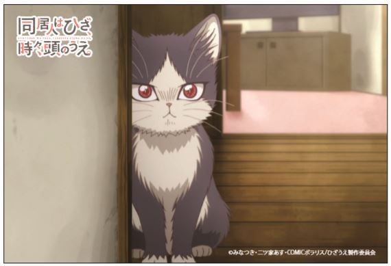 「推し猫！撮って当てよう！」キャンペーン「コラボ記念来店ノベルティ特製ポストカード」（C）みなつき・二ツ家あす・COMICポラリス/ひざうえ製作委員会