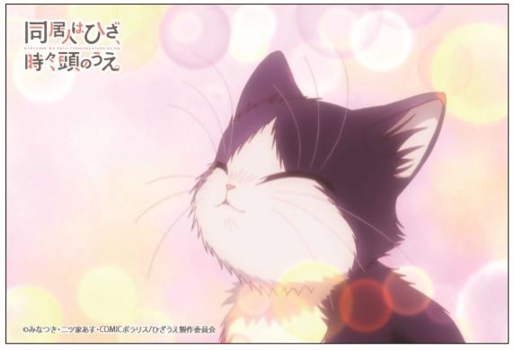 「推し猫！撮って当てよう！」キャンペーン「コラボ記念来店ノベルティ特製ポストカード」（C）みなつき・二ツ家あす・COMICポラリス/ひざうえ製作委員会