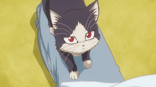 『同居人はひざ、時々、頭のうえ。』第3話先行カット（C）みなつき・二ツ家あす・COMICポラリス/ひざうえ製作委員会