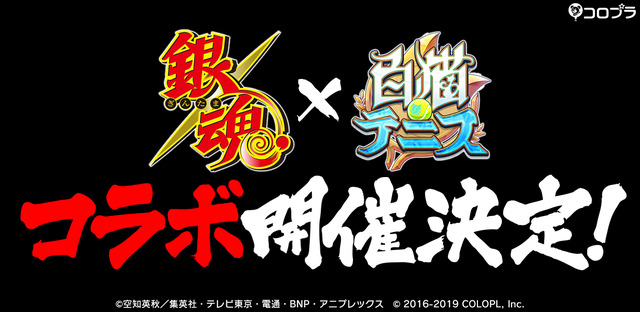 『銀魂』×『白猫テニス』コラボ（C）空知英秋／集英社・テレビ東京・電通・BNP・アニプレックス（C） 2016-2019 COLOPL, Inc.