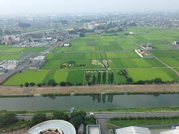 「田んぼアート」ウルトラマン