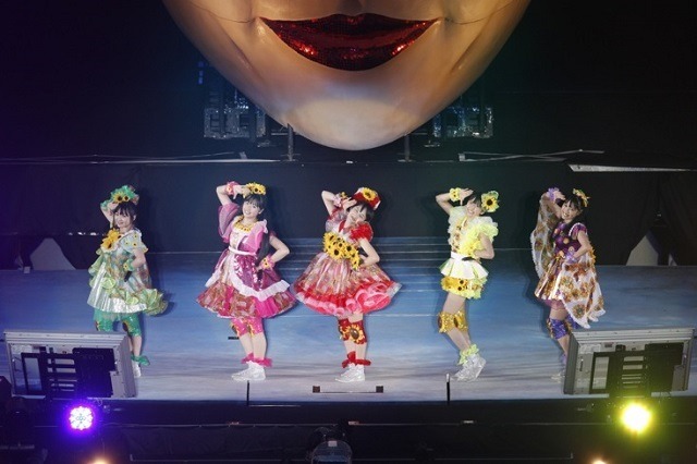 photo by 上飯坂一+Z