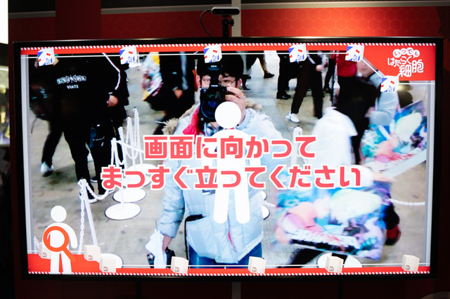 【コスプレ】「はたらく細胞」赤血球＆白血球の再現度に注目！ ひのきお＆おざーーん【インタビュー】