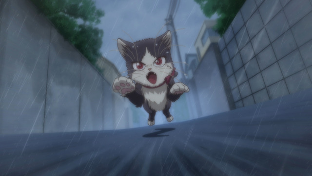 『同居人はひざ、時々、頭のうえ。』第12話先行カット（C）みなつき・二ツ家あす・COMICポラリス/ひざうえ製作委員会