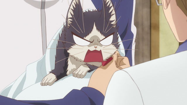 『同居人はひざ、時々、頭のうえ。』第12話先行カット（C）みなつき・二ツ家あす・COMICポラリス/ひざうえ製作委員会