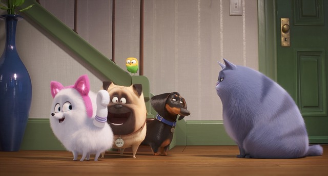 『ペット2』ギジェット編トレーラー（C）Universal Studios.