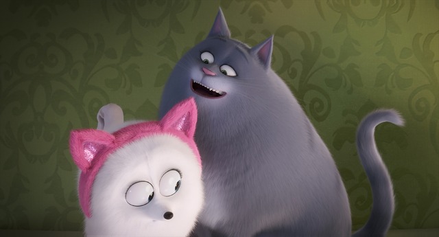 ペット2 沢城みゆき 猫耳ギジェット に ノックアウトされています 最新映像公開 アニメ アニメ