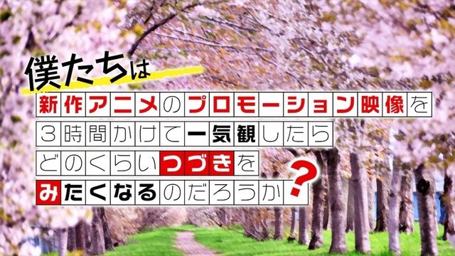 第11回「つづきみ」の模様