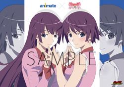 アニメイト　(c)西尾維新／講談社・アニプレックス・シャフト