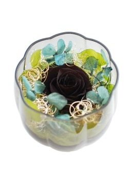 「PSYCHO-PASS サイコパス」プリザーブドフラワー・アレンジメントグラス [狡噛ver.]