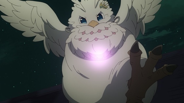 『盾の勇者の成り上がり』第16話先行カット（C）2019 アネコユサギ／KADOKAWA／盾の勇者の製作委員会