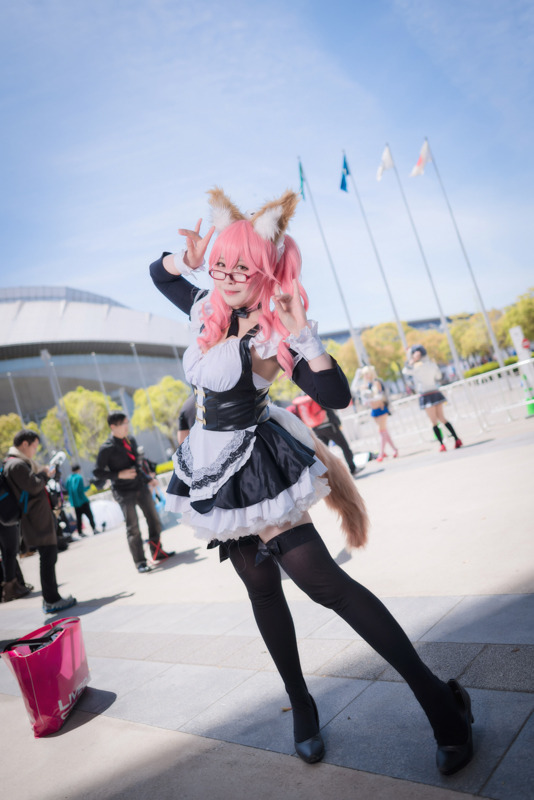 【コスプレ】葛飾北斎、 玉藻の前など英霊がズラリ！ 「ニコニコ超会議2019」Fate美女レイヤーまとめ【写真40枚】