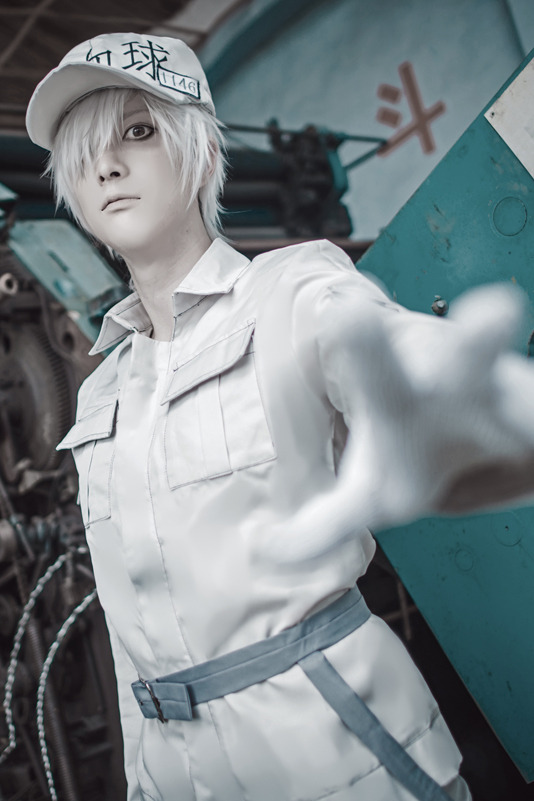 白血球『はたらく細胞』