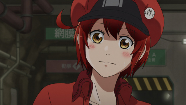 『はたらく細胞』（C）清水茜／講談社・アニプレックス・davidproduction