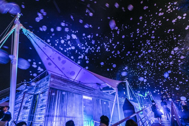 「海の上映会」（C）2019 五十嵐大介・小学館／「海獣の子供」製作委員会