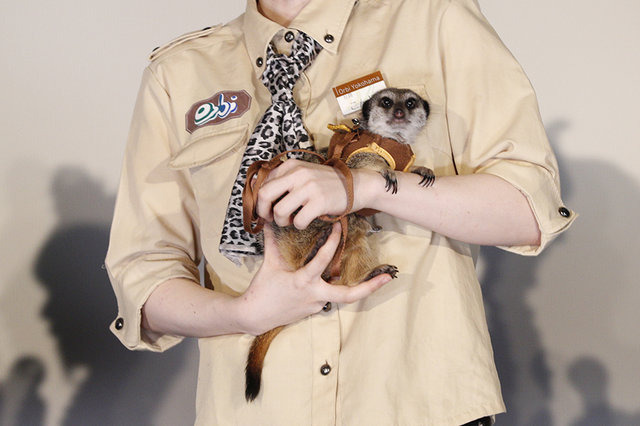 マイルカが加入するも、はなまるアニマルは落ち目に…!?「けものフレンズ３ わくわく探検レポート」公開収録レポート