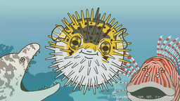 『ざんねんないきもの事典』シリーズ（C）TAKAHASHI SHOTEN/NHK、NEP、ファンワークス