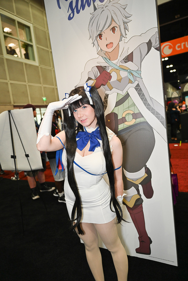 「Anime Expo 2019」の模様