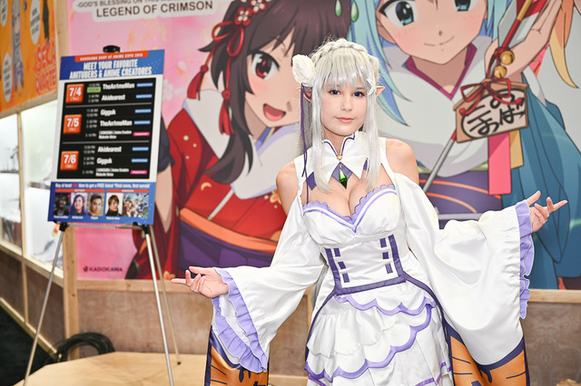 「Anime Expo 2019」の模様