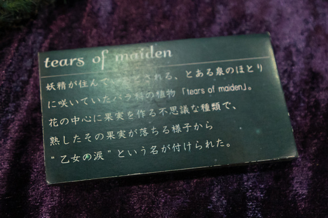 「ワンフェス2019夏」個性あふれる造形＆アイデアに注目！ 一般ディーラーのオリジナル作品まとめ