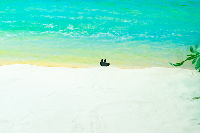 2018年夏水着イベント再現「ルルハワアイランド」エレシュキガルの震えやサバフェス会場の作り込みに注目【FGOフェス2019】