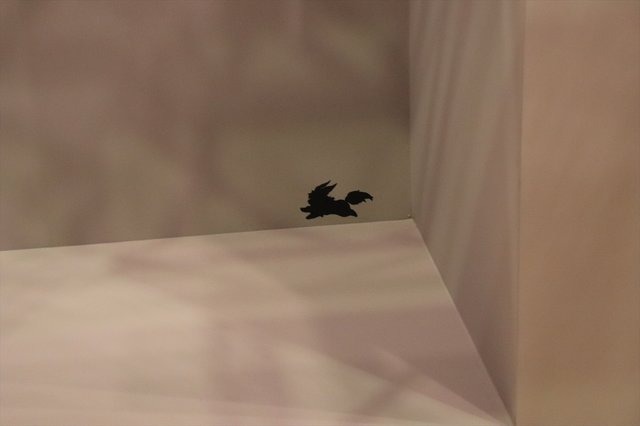 あんなところからこんなところまで！FGOフェスで隠しフォウくん探してみた