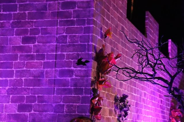 あんなところからこんなところまで！FGOフェスで隠しフォウくん探してみた