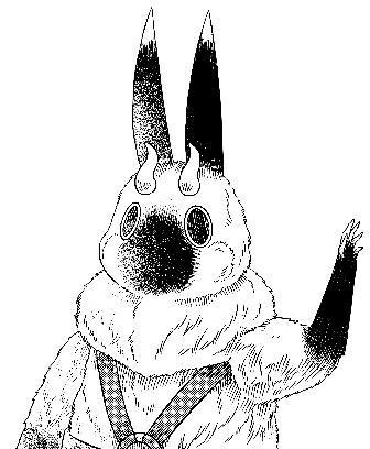 『ソマリと森の神様』キキーラ