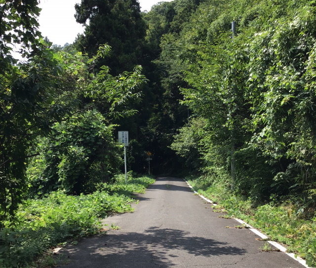 『FGO』日差し照り付ける真夏の昼間…野を越え山越え海に辿り着いた僕は「水着ガチャ」を引く―大自然で挑むガチャには驚きのドラマが待っていた！【特集】