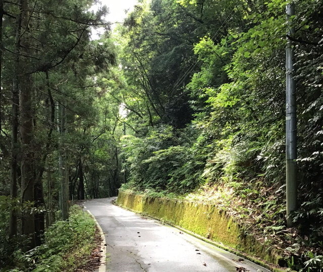 『FGO』日差し照り付ける真夏の昼間…野を越え山越え海に辿り着いた僕は「水着ガチャ」を引く―大自然で挑むガチャには驚きのドラマが待っていた！【特集】