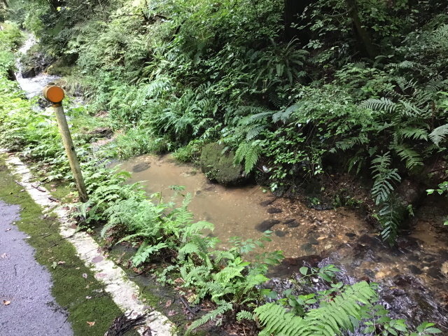 『FGO』日差し照り付ける真夏の昼間…野を越え山越え海に辿り着いた僕は「水着ガチャ」を引く―大自然で挑むガチャには驚きのドラマが待っていた！【特集】