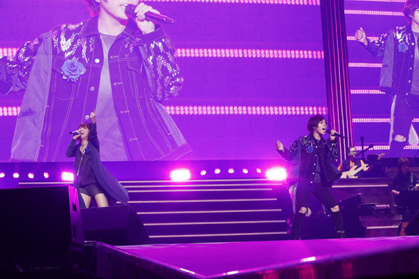 Animelo Summer Live 2019 3日目の様子／（C）Animelo Summer Live 2019