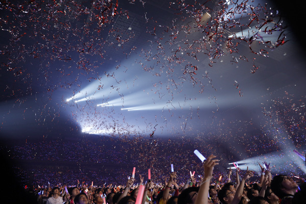 Animelo Summer Live 2019 3日目の様子／（C）Animelo Summer Live 2019