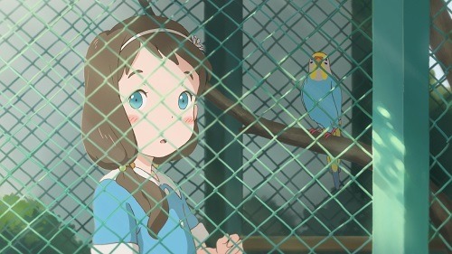 『陽なたのアオシグレ』　(Ｃ) 2013 Studio Colorido. All Rights Reserved.