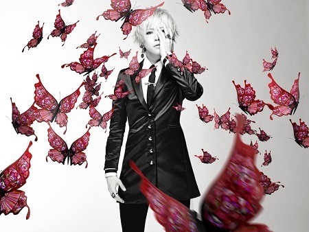 「Butterfly Core」