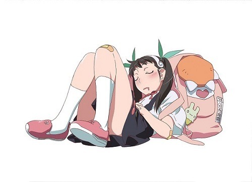 (c)西尾維新／講談社・アニプレックス・シャフト