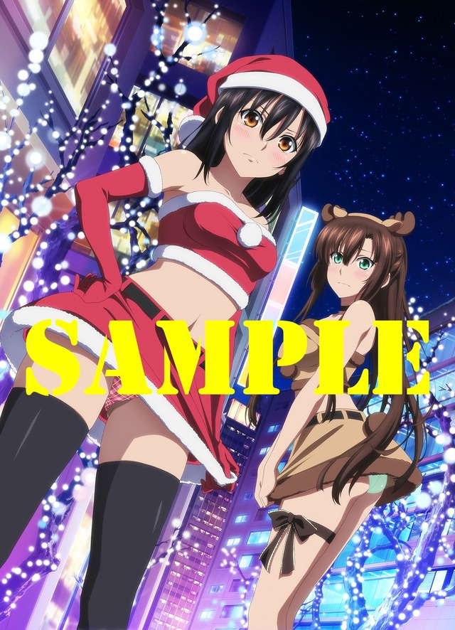 「消えた聖槍篇＋ストライク・ザ・ブラッドIV Blu-ray&DVD Vol.1-6全巻購入特典」アニメイト 全巻収納 BOX（Ｃ）2019 三雲岳斗／KADOKAWA／PROJECT STB OVA