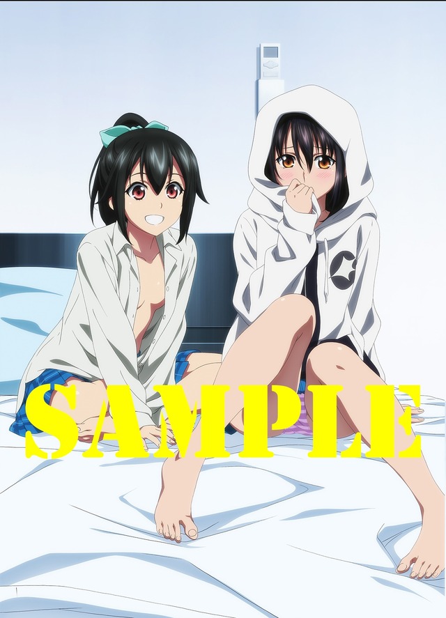 「消えた聖槍篇＋ストライク・ザ・ブラッドIV Blu-ray&DVD Vol.1-6全巻購入特典」ゲーマーズ 全巻収納 BOX（Ｃ）2019 三雲岳斗／KADOKAWA／PROJECT STB OVA