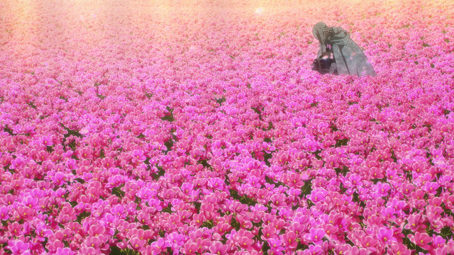 『劇場版 Fate/Grand Order -神聖円卓領域キャメロット- 前編 Wandering; Agateram』第1弾特報場面カット（C）TYPE-MOON / FGO6 ANIME PROJECT