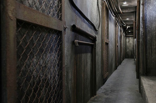 「HACOSTADIUM cosset」