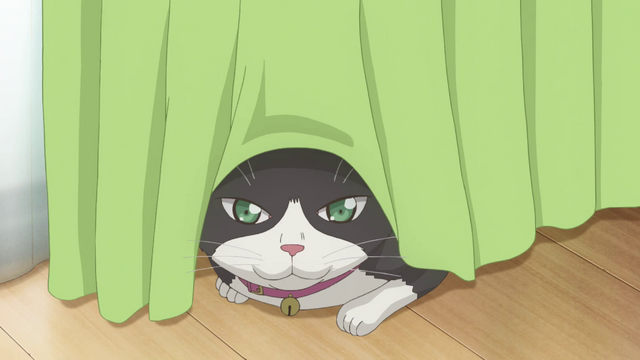 TVアニメ『放課後さいころ倶楽部』第3話「ひとりとちゃうから」場面カット（C）中道裕大・小学館／放課後さいころ倶楽部製作委員会