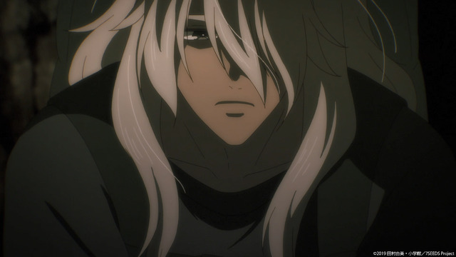 『7SEEDS』（C）2019 田村由美・小学館／7SEEDS Project