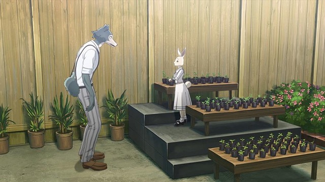 『BEASTARS』（C）板垣巴留（秋田書店）／BEASTARS製作委員会