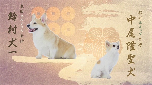 TVアニメ『織田シナモン信長』（C）目黒川うな/NSP,織田シナモン信長製作委員会