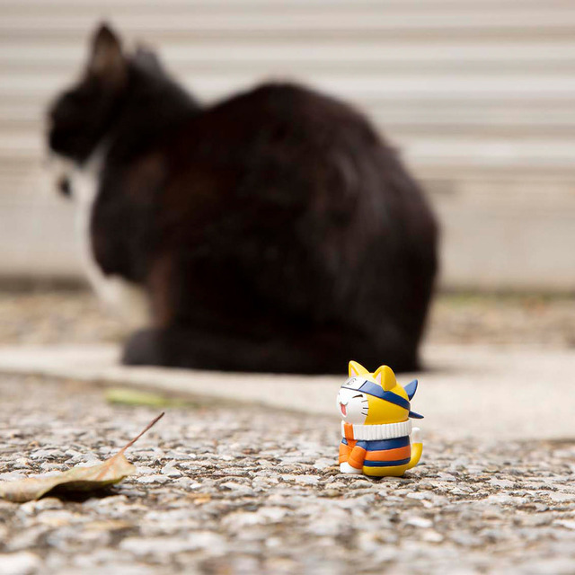 「NARUTO -ナルト- ニャルト！ 木ノ葉の愉快なニャンコたち編 木ノ葉の缶詰付きセット」5,720円（税込）（C）岸本斉史　スコット／集英社・テレビ東京・ぴえろ