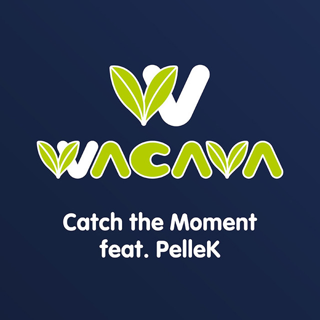 WACAVA “Catch the Moment feat. PelleK”