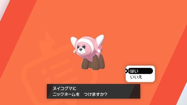 親子で『ポケモン シールド』をプレイ！「草ポケ愛の遺伝と、ライバルの距離感が気になる」