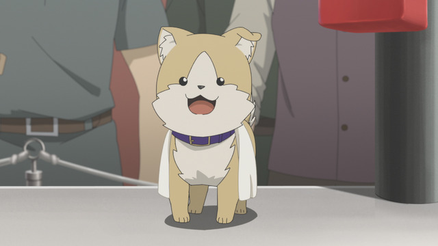 『旗揚！けものみち』第8話「ケモナー×興行」先行カット（C）2019 暁なつめ／まったくモー助／夢唄／KADOKAWA／けものみち製作委員会