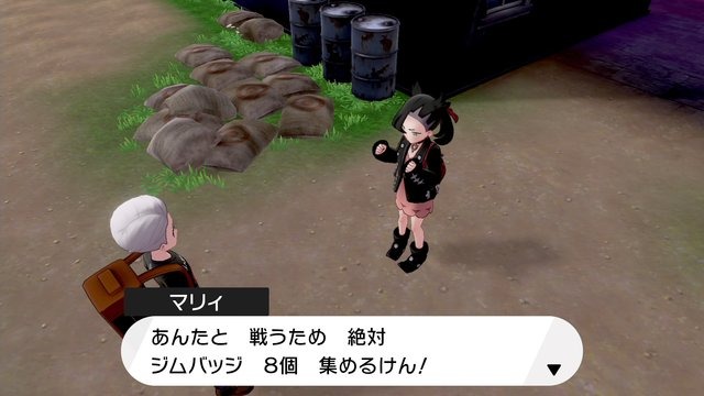 『ポケットモンスター ソード・シールド』小ネタ13選！あなたはすべて知ってる？